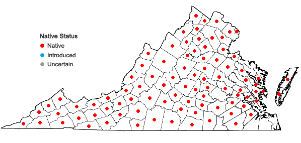 Locations ofEpilobium coloratum Biehler in Virginia