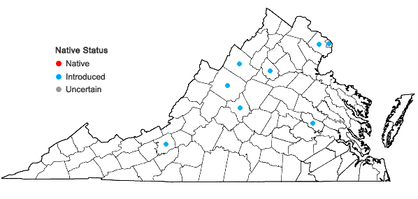 Locations ofEpipactis helleborine (L.) Crantz in Virginia