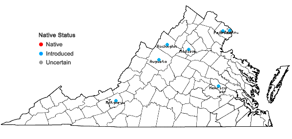 Locations ofEpipactis helleborine (L.) Crantz in Virginia