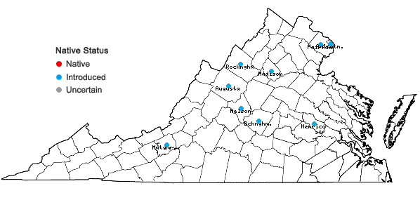 Locations ofEpipactis helleborine (L.) Crantz in Virginia