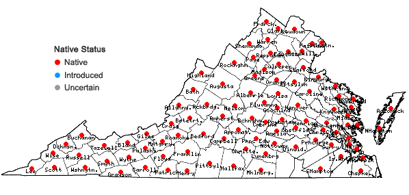 Locations ofEquisetum arvense L. in Virginia