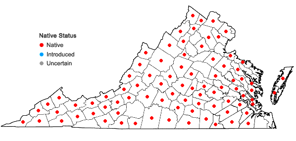 Locations ofEquisetum praealtum Rafinesque in Virginia
