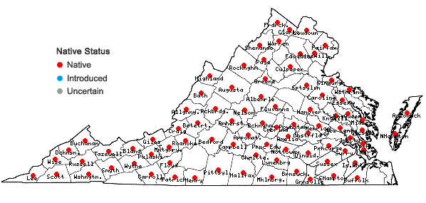 Locations ofEquisetum praealtum Rafinesque in Virginia