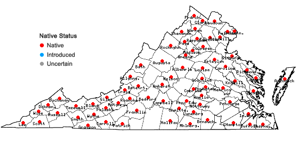 Locations ofEragrostis capillaris (L.) Nees in Virginia