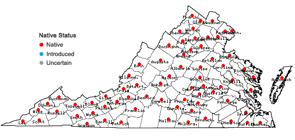Locations ofEragrostis capillaris (L.) Nees in Virginia