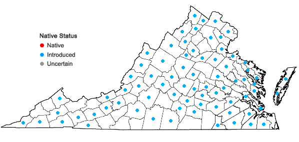 Locations ofEragrostis cilianensis (All.) Vignola. ex Janchen in Virginia