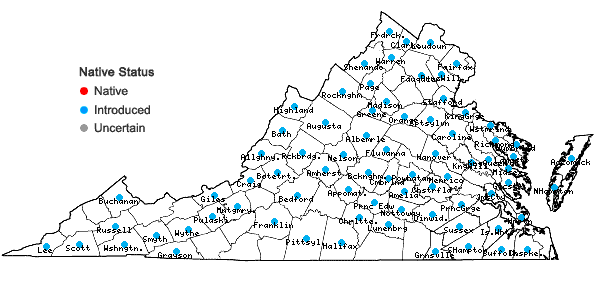 Locations ofEragrostis cilianensis (All.) Vignola. ex Janchen in Virginia