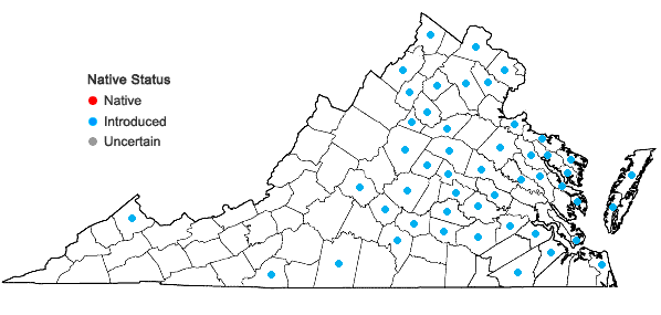 Locations ofEragrostis curvula (Schrad.) Nees in Virginia