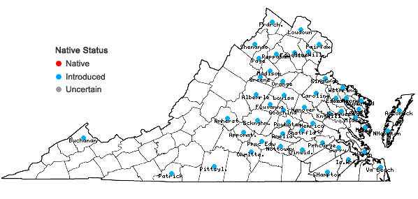 Locations ofEragrostis curvula (Schrad.) Nees in Virginia