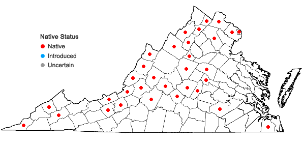 Locations ofEragrostis frankii C.A. Mey. ex Steud. in Virginia