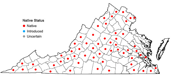 Locations ofEragrostis hypnoides (Lam.) B.S.P. in Virginia