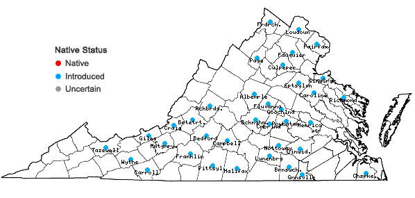 Locations ofEragrostis minor Host in Virginia