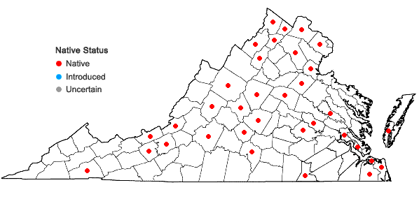 Locations ofEragrostis pectinacea (Michx.) Nees var. pectinacea in Virginia
