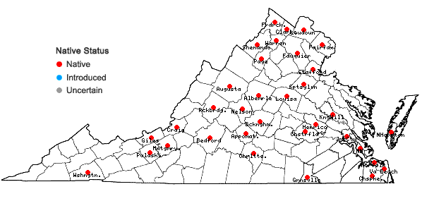 Locations ofEragrostis pectinacea (Michx.) Nees var. pectinacea in Virginia