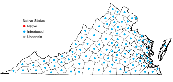 Locations ofEragrostis pilosa (L.) Beauv. var. pilosa in Virginia