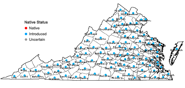 Locations ofEragrostis pilosa (L.) Beauv. var. pilosa in Virginia