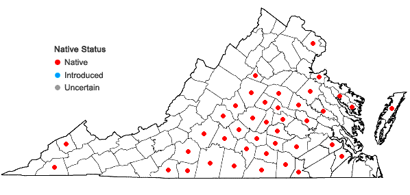 Locations ofErianthus alopecuroides (L.) Ell. in Virginia