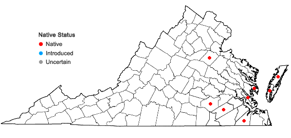 Locations ofErianthus coarctatus Fernald in Virginia