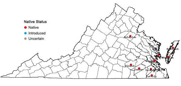 Locations ofErianthus coarctatus Fernald in Virginia