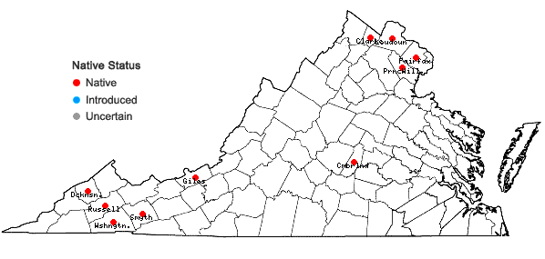 Locations ofErigenia bulbosa (Michx.) Nutt. in Virginia