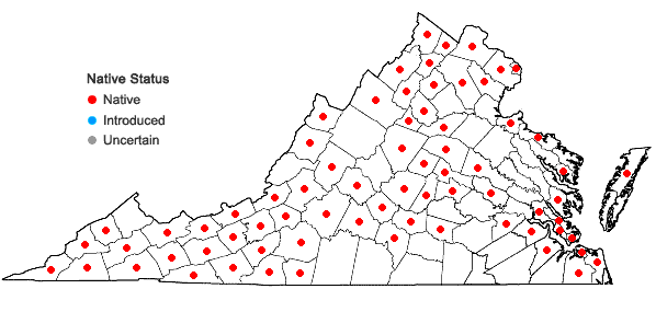 Locations ofErigeron philadelphicus L. var. philadelphicus in Virginia