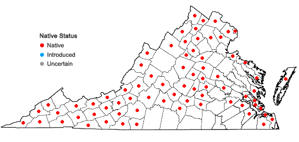 Locations ofErigeron philadelphicus L. var. philadelphicus in Virginia