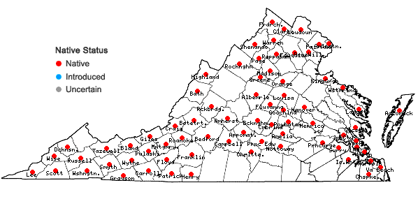 Locations ofErigeron philadelphicus L. var. philadelphicus in Virginia