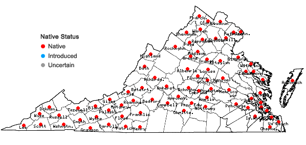 Locations ofErigeron philadelphicus L. var. philadelphicus in Virginia