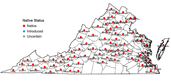 Locations ofErigeron philadelphicus L. var. philadelphicus in Virginia