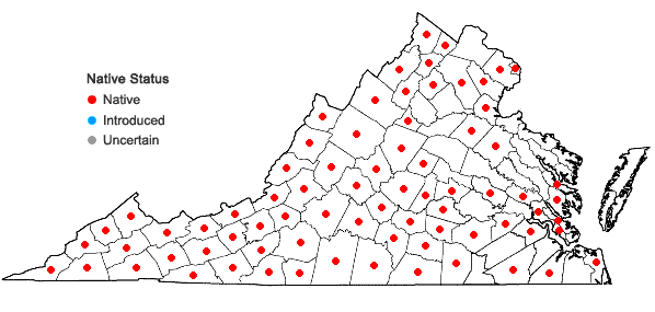 Locations ofErigeron pulchellus Michx. var. pulchellus in Virginia