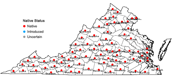 Locations ofErigeron pulchellus Michx. var. pulchellus in Virginia