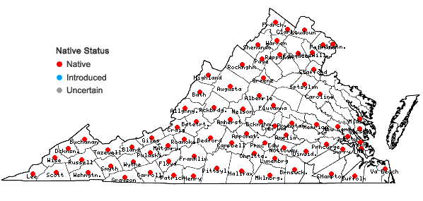 Locations ofErigeron pulchellus Michx. var. pulchellus in Virginia