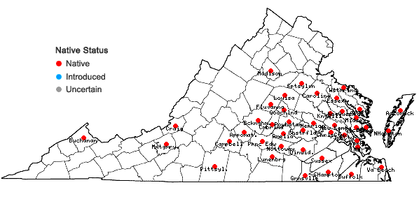 Locations ofErigeron pusillus Nutt. in Virginia