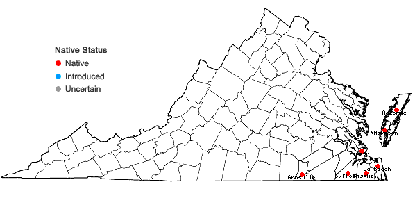 Locations ofErigeron vernus (L.) Torr. & Gray in Virginia