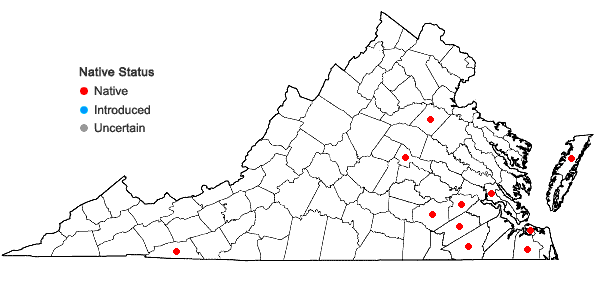 Locations ofEriocaulon decangulare L. var. decangulare in Virginia