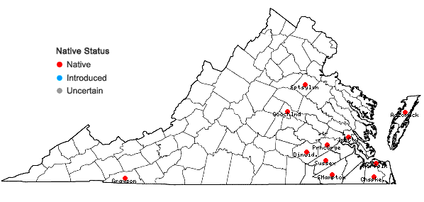 Locations ofEriocaulon decangulare L. var. decangulare in Virginia