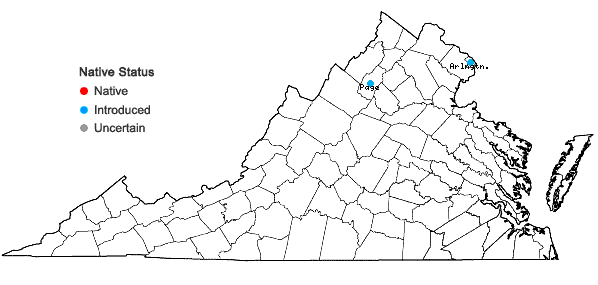 Locations ofEriochloa contracta A.S. Hitchc. in Virginia