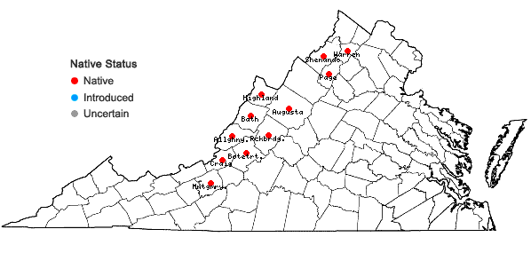 Locations ofEriogonum allenii S. Wats. in A. Gray et al. in Virginia