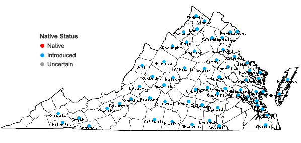 Locations ofErodium cicutarium (L.) L'Her. ex Ait.  in Virginia