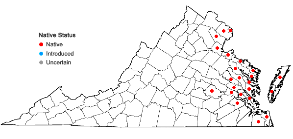 Locations ofEryngium aquaticum L. var. aquaticum in Virginia