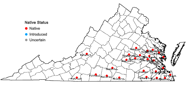 Locations ofEryngium prostratum Nutt. ex DC. in Virginia