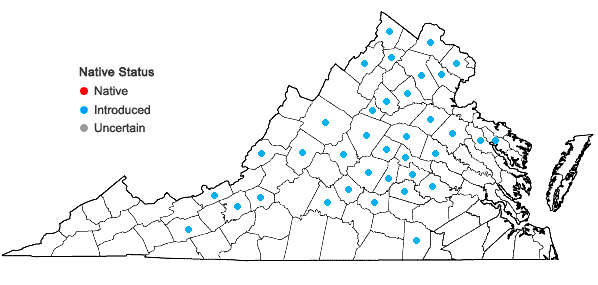 Locations ofEuonymus alatus (Thunb.) Sieb. in Virginia