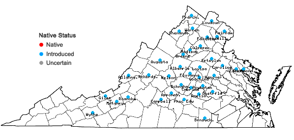 Locations ofEuonymus alatus (Thunb.) Sieb. in Virginia