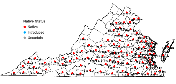 Locations ofEuonymus americanus L. in Virginia