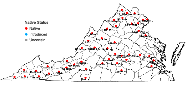 Locations ofEuonymus atropurpureus Jacq. in Virginia