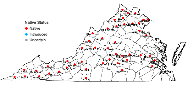 Locations ofEuonymus atropurpureus Jacq. in Virginia