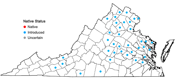 Locations ofEuonymus fortunei (Turcz.) Hand.-Maz. in Virginia