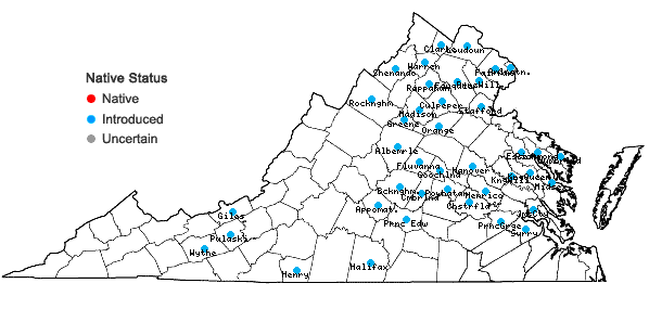 Locations ofEuonymus fortunei (Turcz.) Hand.-Maz. in Virginia