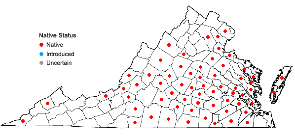 Locations ofEupatorium album L. in Virginia