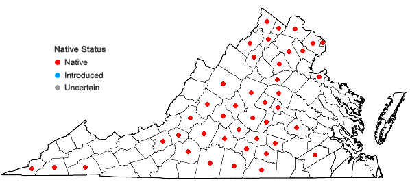 Locations ofEupatorium altissimum L. in Virginia